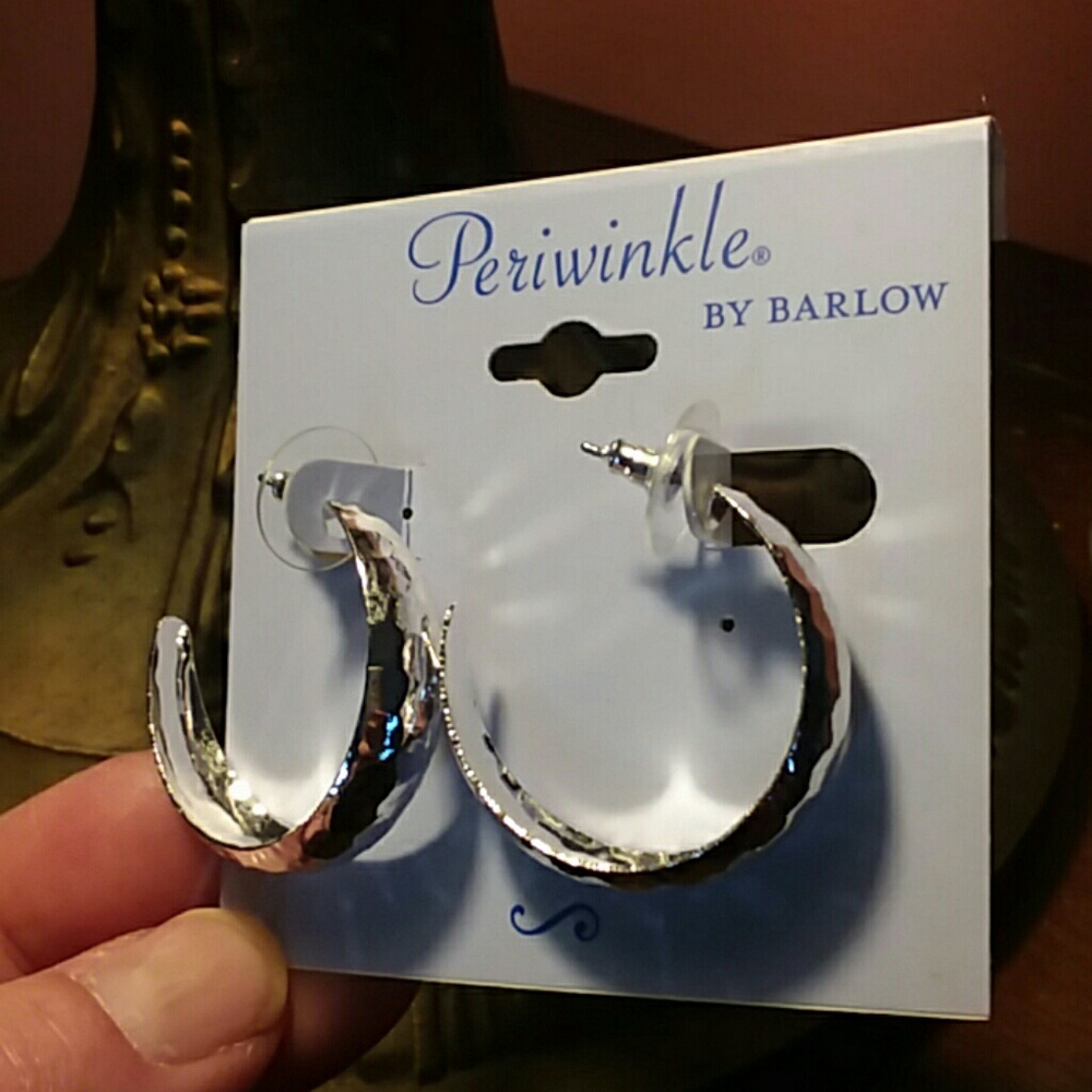 🆕 Silver Hoops